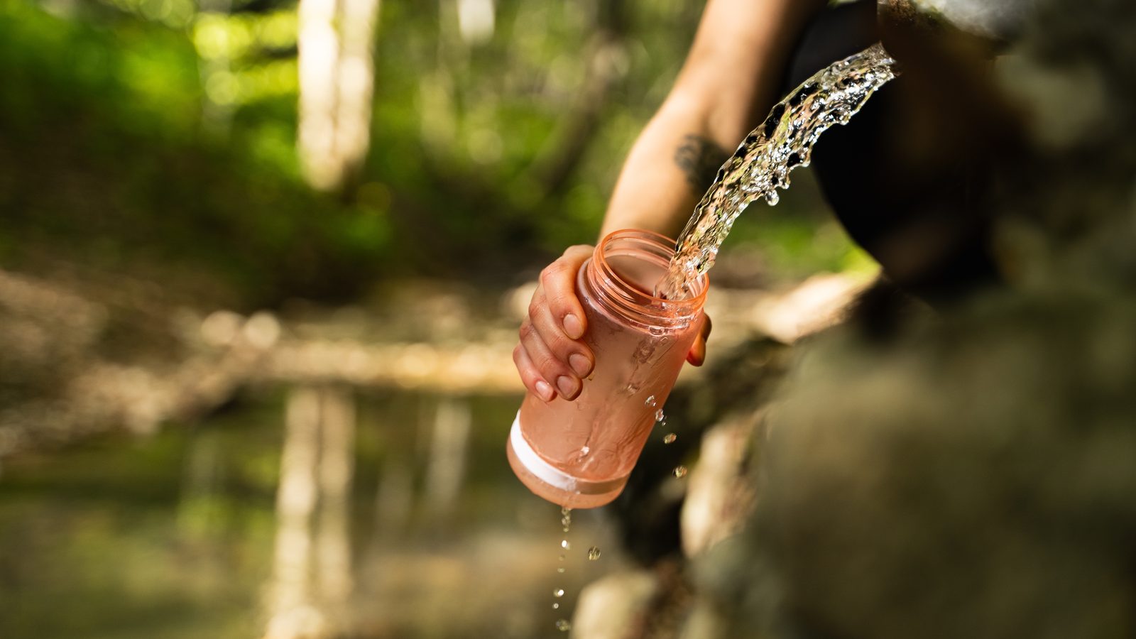 Water poured from a bottle beside a woodland stream