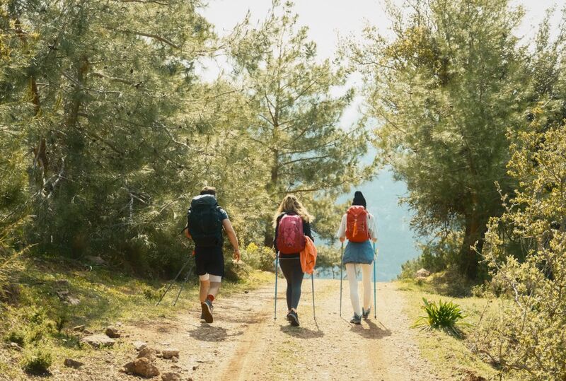 Three walkers with packs and poles on a pine-shaded Lycian Way path above the sea